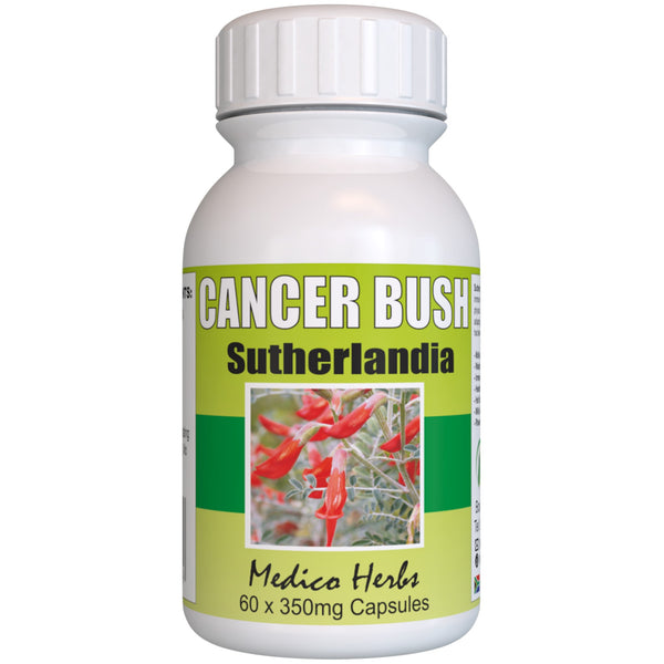 Cancer Bush Sutherlandia Frutescens 60 x 350 mg Capsules