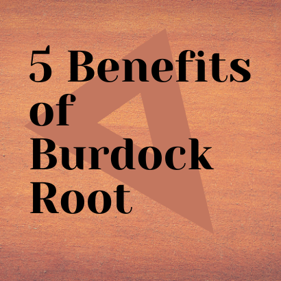 5 Benefits of Burdock Root That May Help Save Your Life!