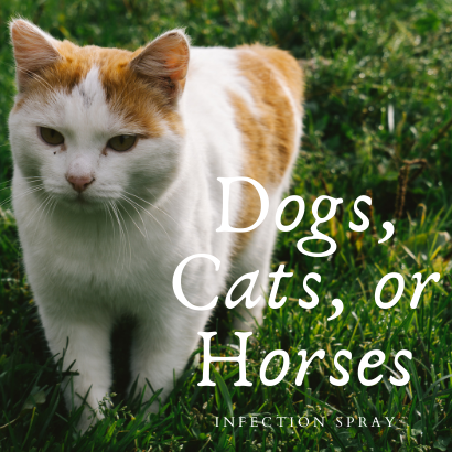 Cat's, Dog's, or Horse's Infection Spray