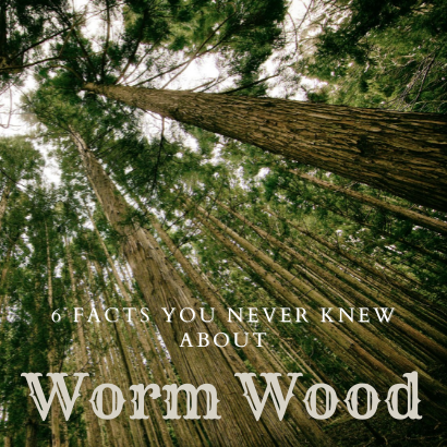 Six Facts You Never Knew About Wormwood