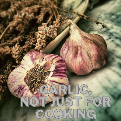 Garlic, Not Just Beneficial For Cooking