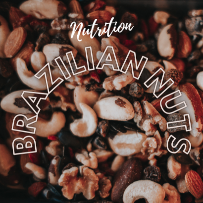 Brazilian Nuts Nutrition
