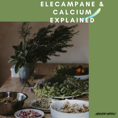 Elecampane & Calcium Explained