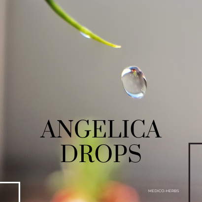 Angelica Drops