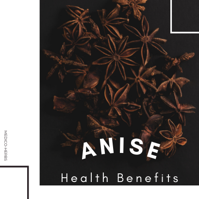 Health Benefits of Anise