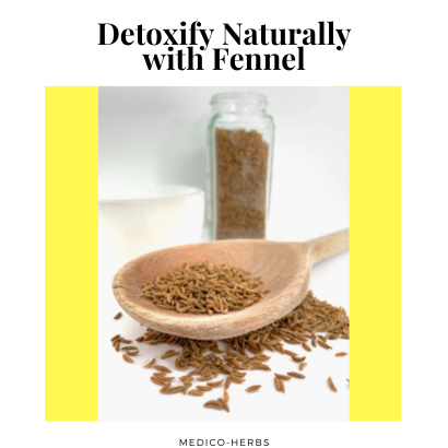 Detoxify Naturally with Fennel