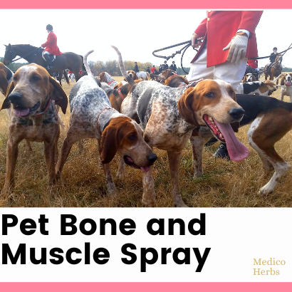 Pet Bone and Muscle Spray