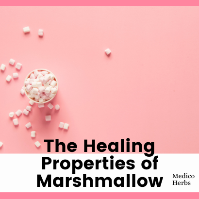 The Healing Properties of Marshmallow
