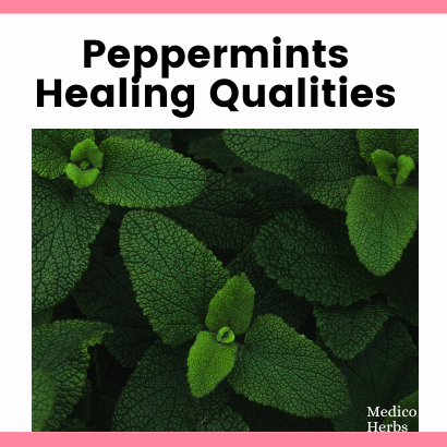 Peppermints Healing Qualities