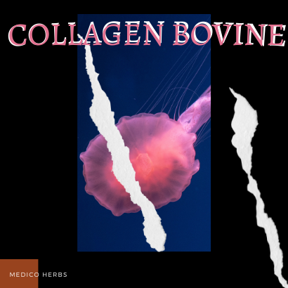 Collagen Bovine