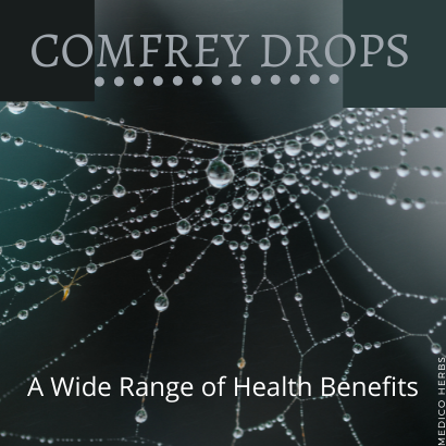 Health Benefits of Comfrey Drops