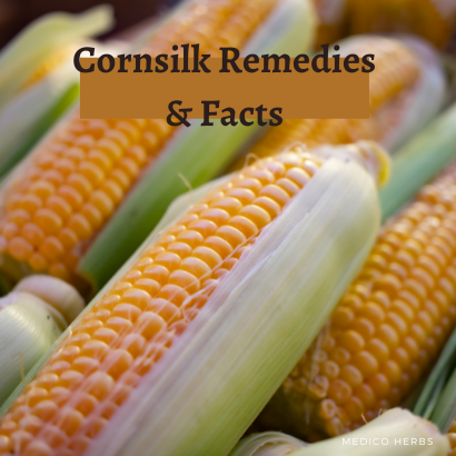 Cornsilk Remedies & Facts