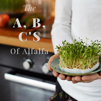 The A, B, C's of Alfalfa