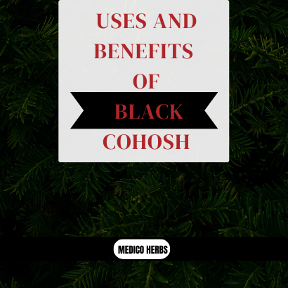 Uses and Benefits of Black Cohosh