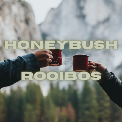 Honeybush vs Rooibos Tea