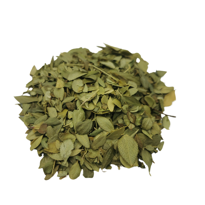 Buchu leaf (Agathosma Betulina) 100g