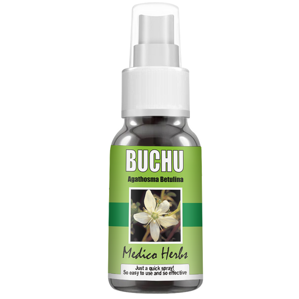 Buchu Leaf Spray (Agathosma Betulina) 50 ml.