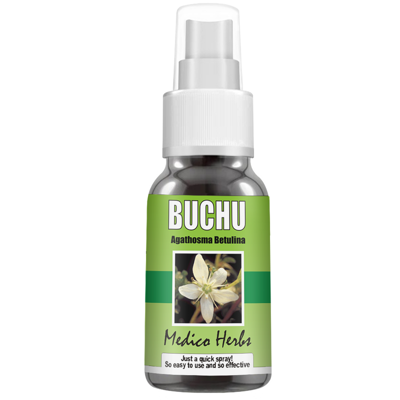 Buchu Leaf Spray (Agathosma Betulina) 50 ml.