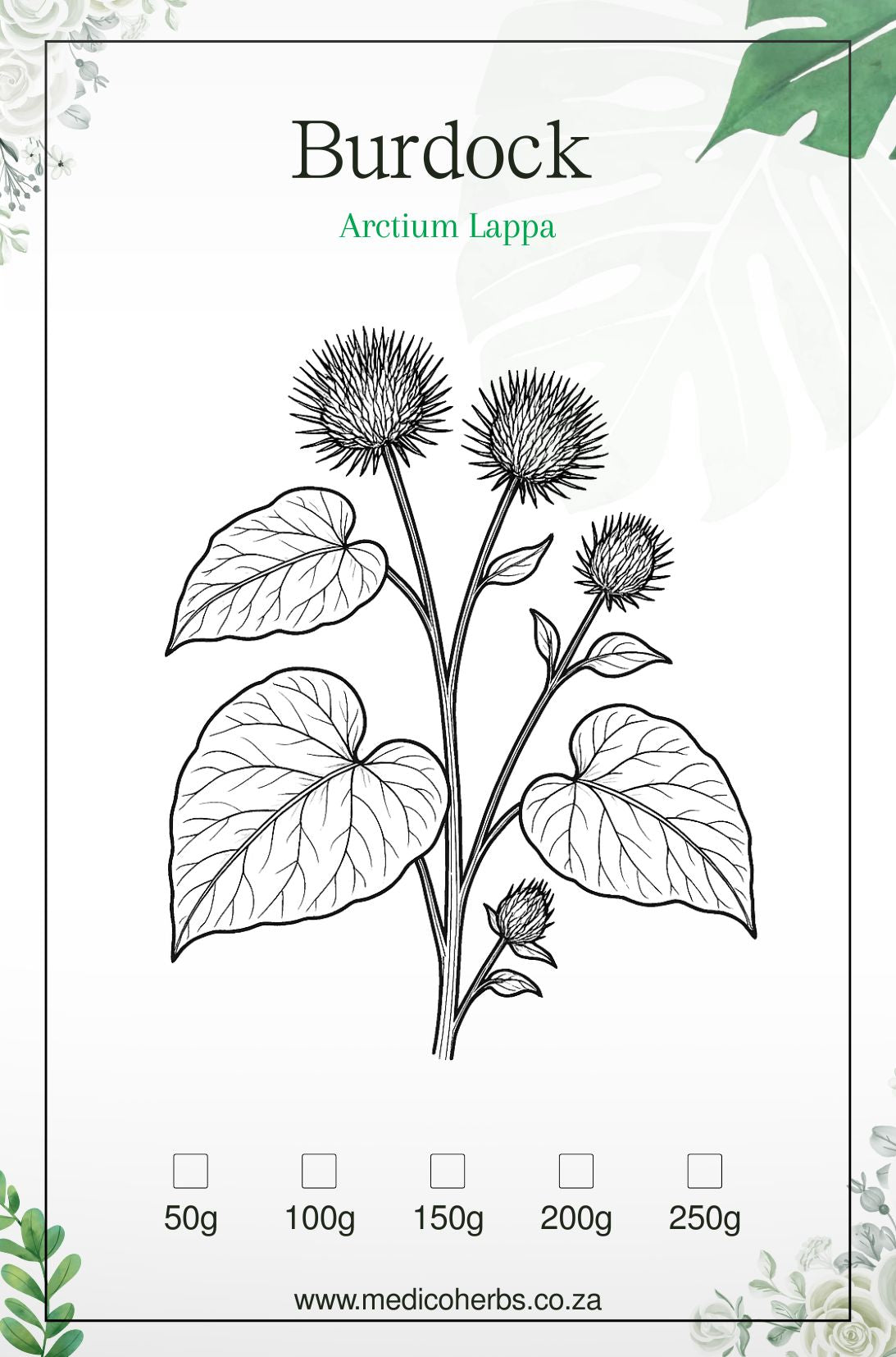 Burdock Powder 50g