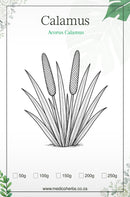 Calamus Root Powder 100g