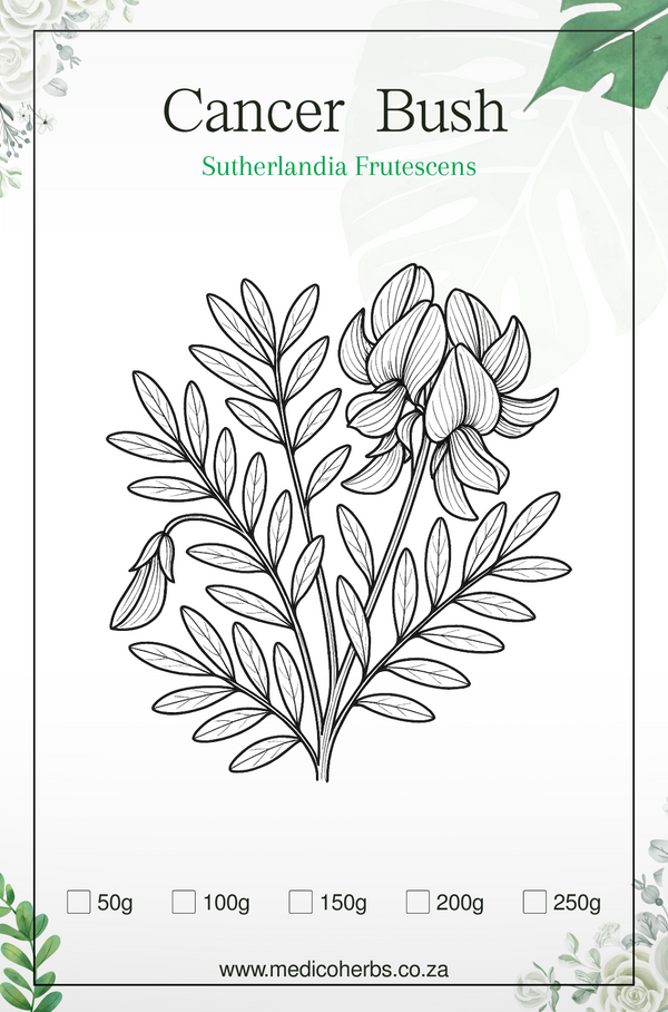 Cancer Bush (Sutherlandia Frutescens) 200g Cut