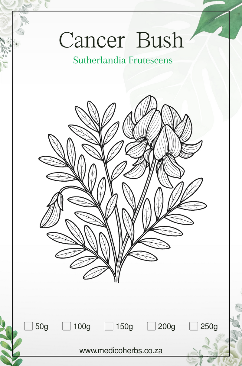 Cancer Bush (Sutherlandia Frutescens) 200g Cut