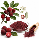 Bayberry Fruit Powder 5kg -25kg Bulk