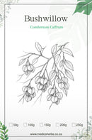 Combretum Caffrum 100g