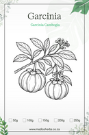 Garcinia Cambogia (60.3% Hydroxycitric acid (HCA) 250g powder