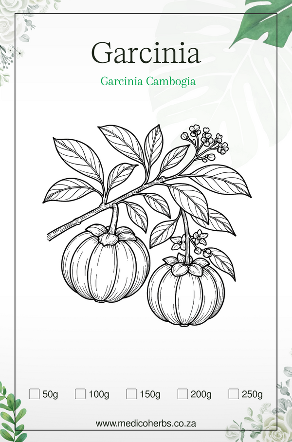 Garcinia Cambogia (60.3% Hydroxycitric acid (HCA) 250g powder