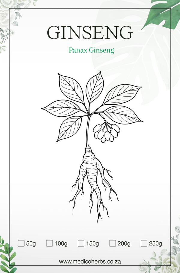 Ginseng Panax Powder 100g