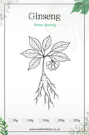 Ginseng Panax Powder 100g