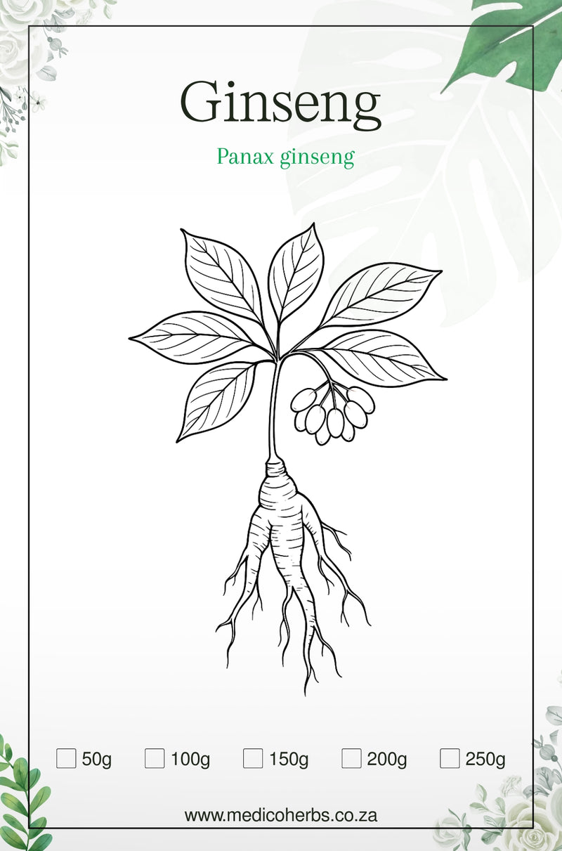 Ginseng Panax Powder 100g