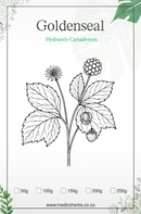 Goldenseal / Hydrastis Powder 50g