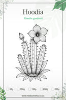 Hoodia Gordonii Slimming Powder 250g