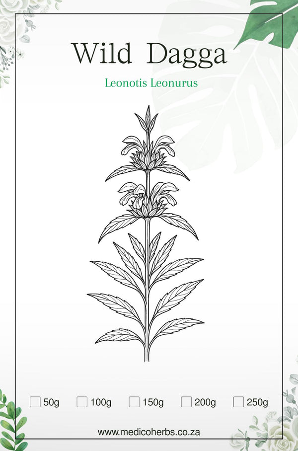 Leonotis Leonurus wilde dagga Leaves 50g