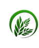 Medico Herbs logo