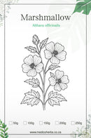 Marshmallow Root 100g