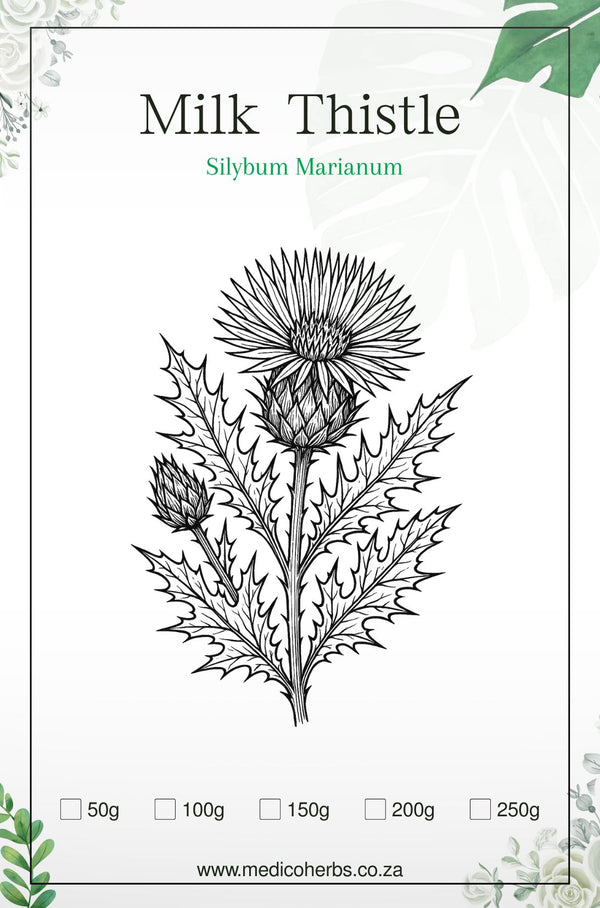Milk Thistle Powder (Silybum Marianum) 50g