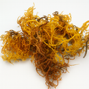 Sea Moss Wildcrafted 250g