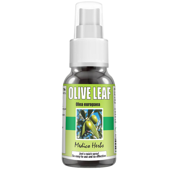 Olive Leaf Olea Europaea 50 ml spray