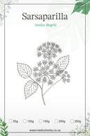 Sarsaparilla Powder 100g