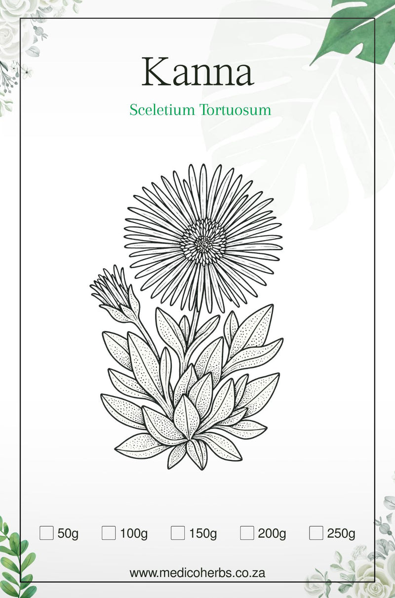 Sceletium Tortuosum (Kanna) DRIED HERB  50g