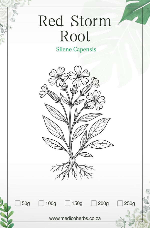 Silene capensis Red storm Rooi storm  (Ubulawu) 150g