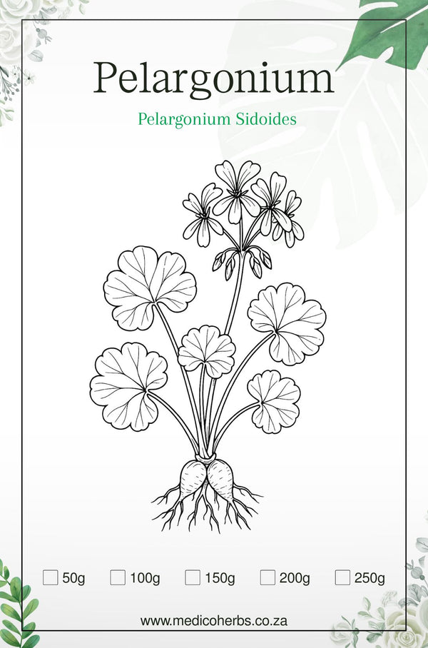 Umckaloabo (Pelargonium Sidoides) Rough Cut 100g