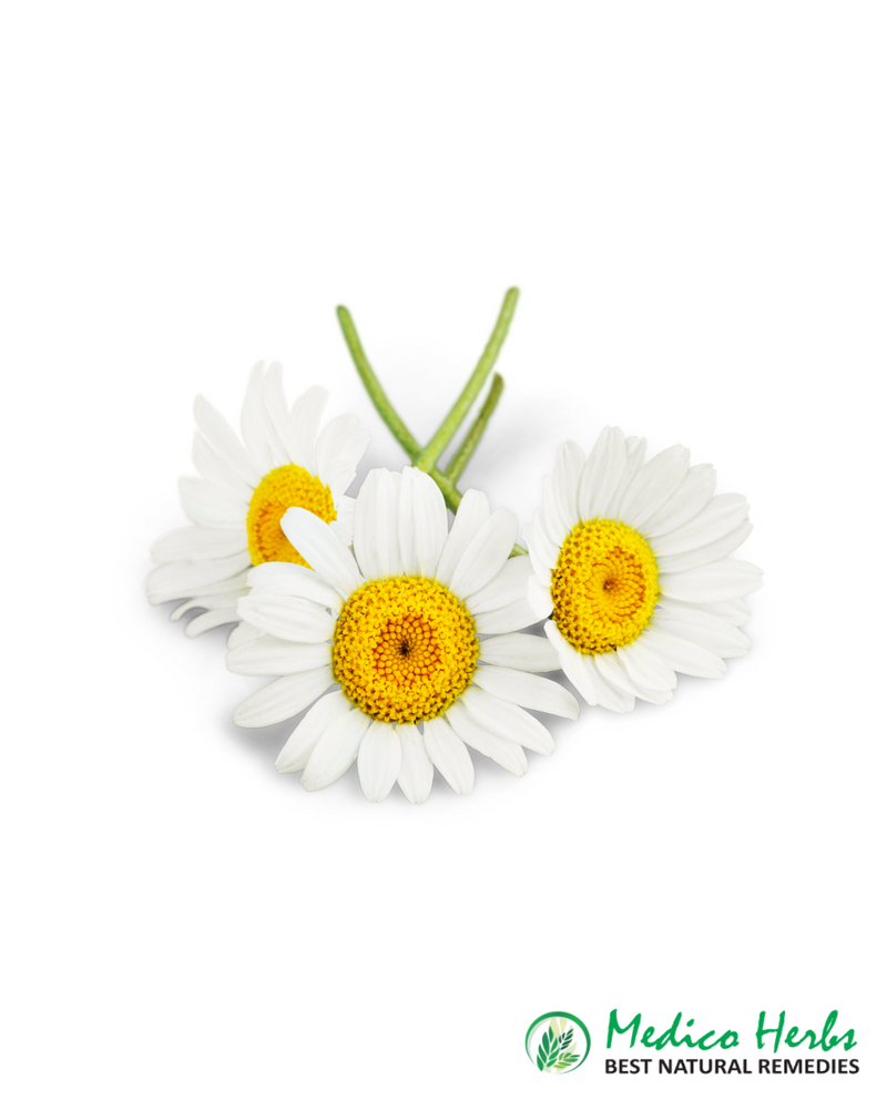 chamomile/herbs/tea
