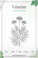 Valerian Dried Herb Tea (Valeriana Officinalis) 100g