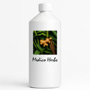 African Ginger (Siphonochilus Aethiopicus) 500ml