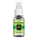 African Ginger Spray (Siphonochilus Aethiopicus) 50ml