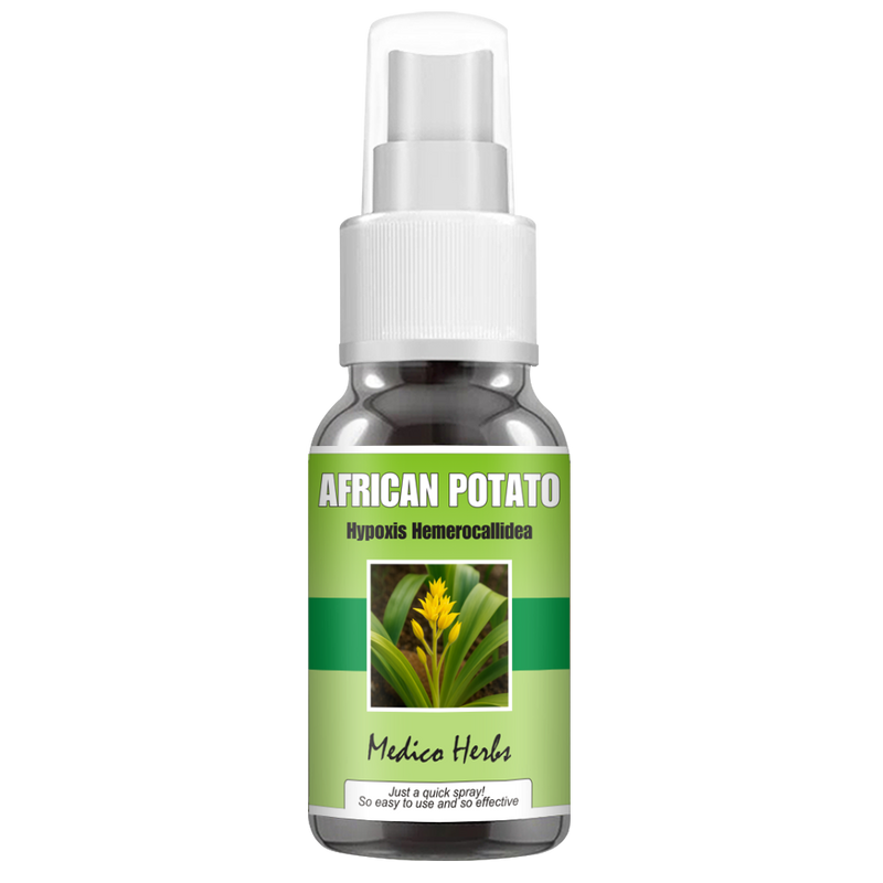 African Potato Spray (Hypoxis Hemerocallidea) 50ml